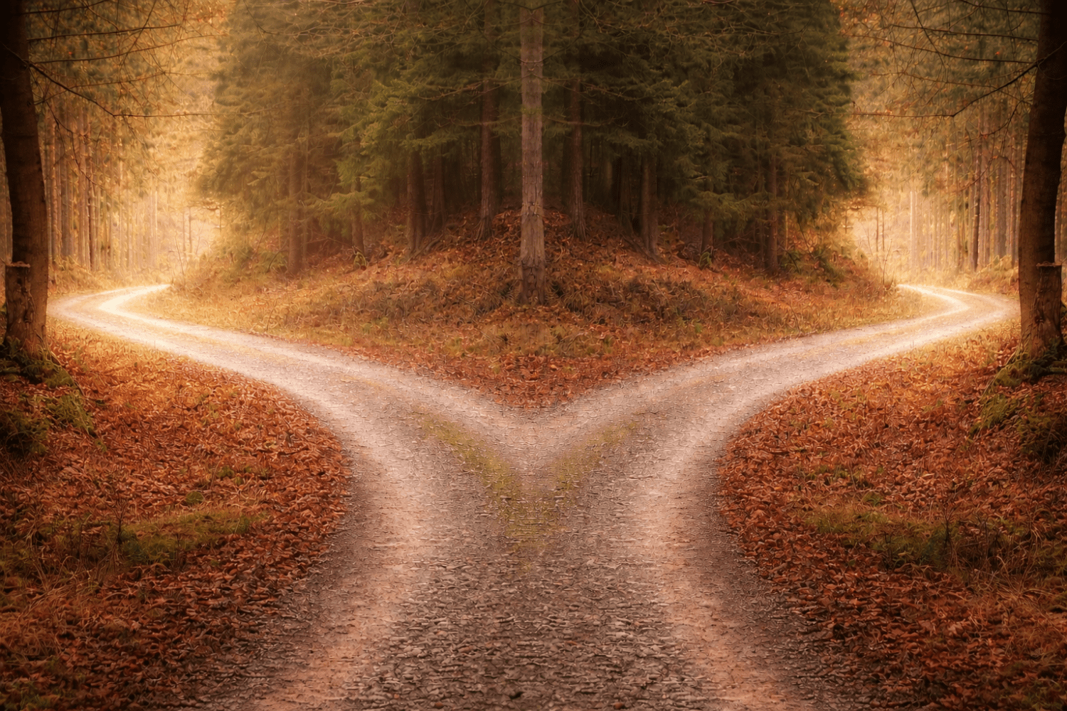 Razpotje v gozdu simbolizira različne poti vzgoje in raznolike odzive otrok